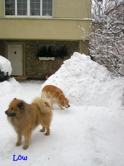 Februar 2009: Schneemassen